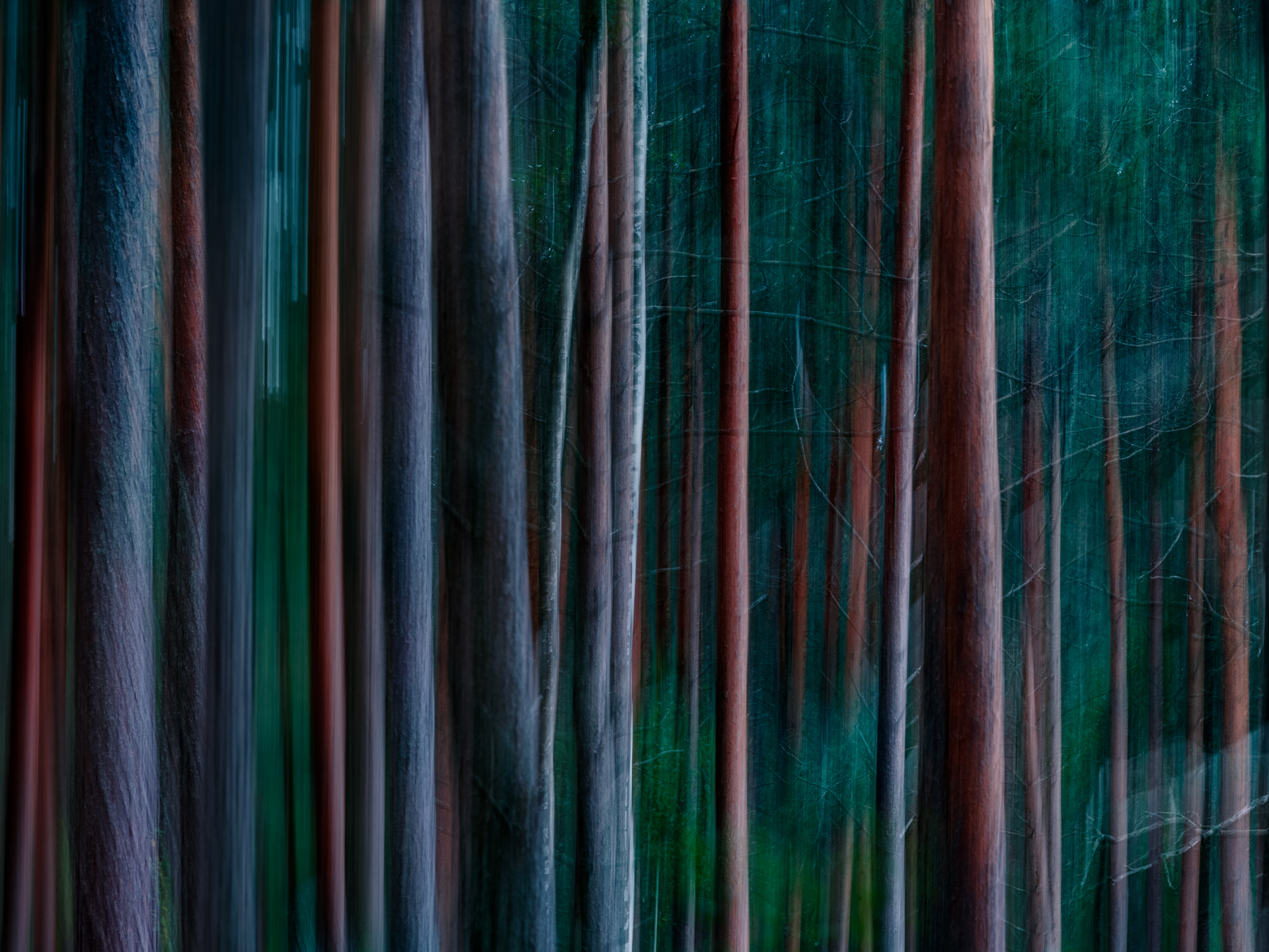 Лес