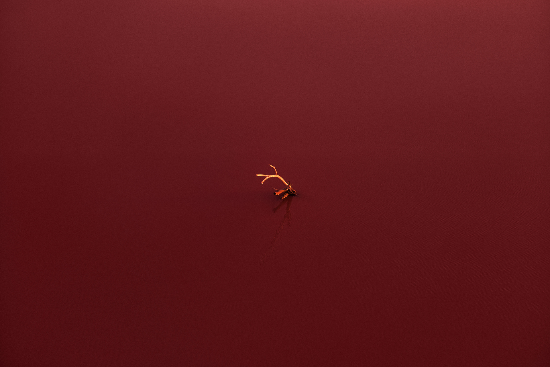 Один