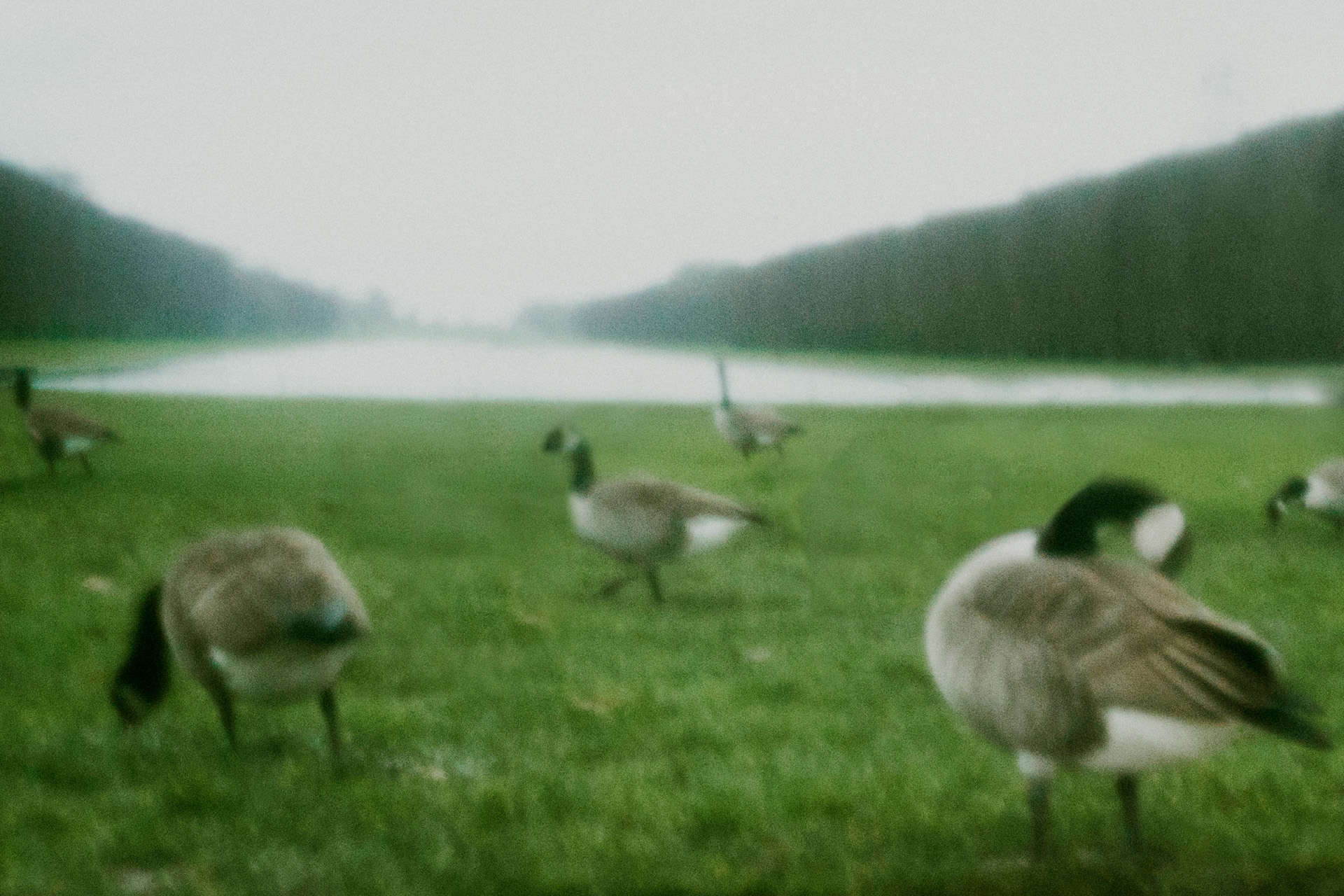 VERSAILLES #22