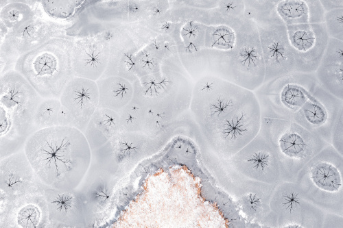 Beautiful ice