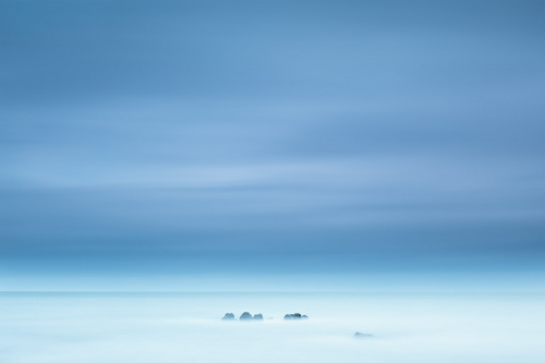Гребень. Крым, 2015