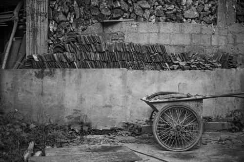 Сhinese still life