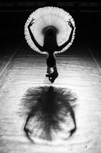 SWAN